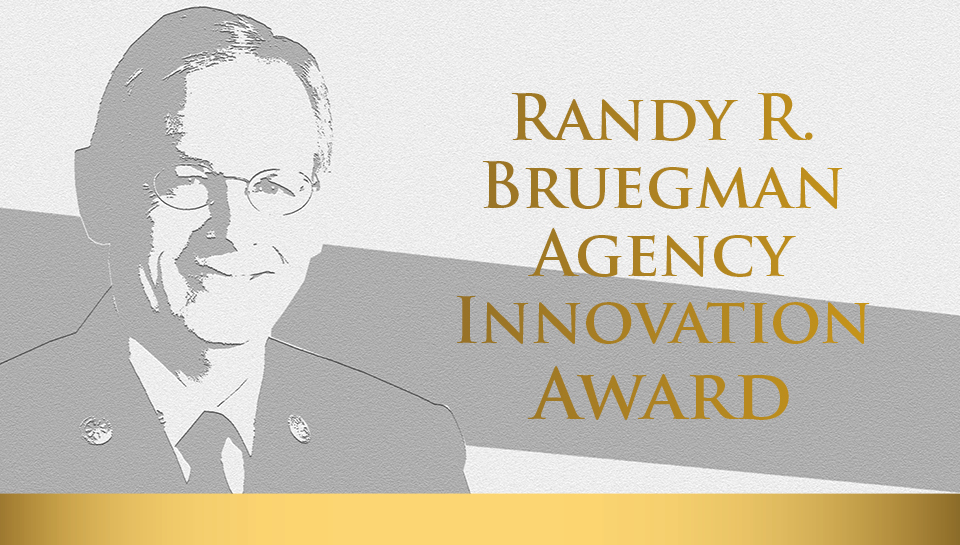 bruegman award graphic